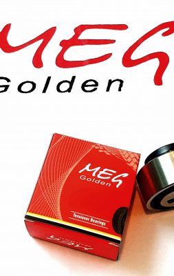 گلدن مگ Golden MEG